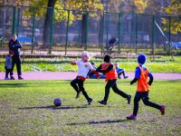 игры 10.05